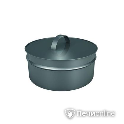 Заглушки Теплов и Сухов Заглушка ревизии Термо-Р 304 0.5 D300(200) в Сыктывкаре