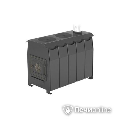 Отопительно-варочная печь Везувий Комфорт 300 (ДТ-3) в Сыктывкаре
