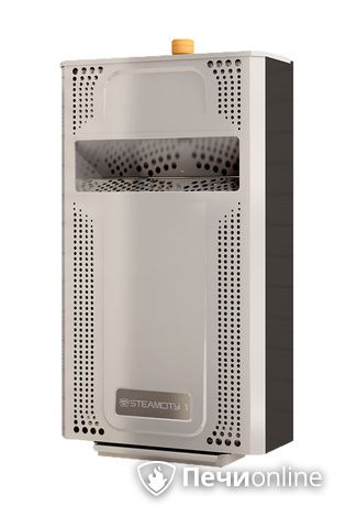 Электрическая печь Теплодар SteamCity-2 в Сыктывкаре