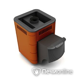 Дровяная банная печь TMF Оса Carbon терракота дверь антрацит в Сыктывкаре