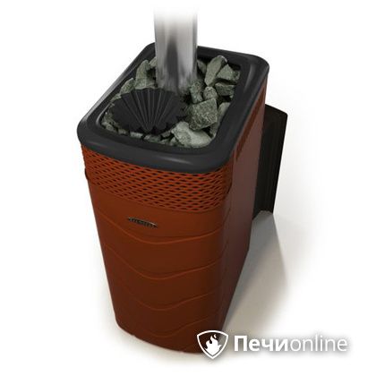 Дровяная банная печь TMF Гейзер XXL 2017 Inox Витра закрытая каменка терракота в Сыктывкаре